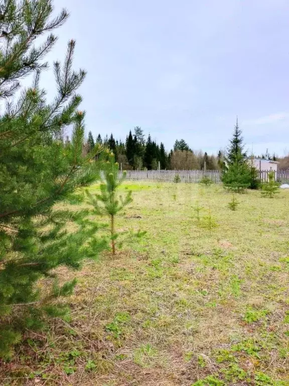 Участок в Кировская область, Слободской район, Шиховское с/пос, д. ... - Фото 2