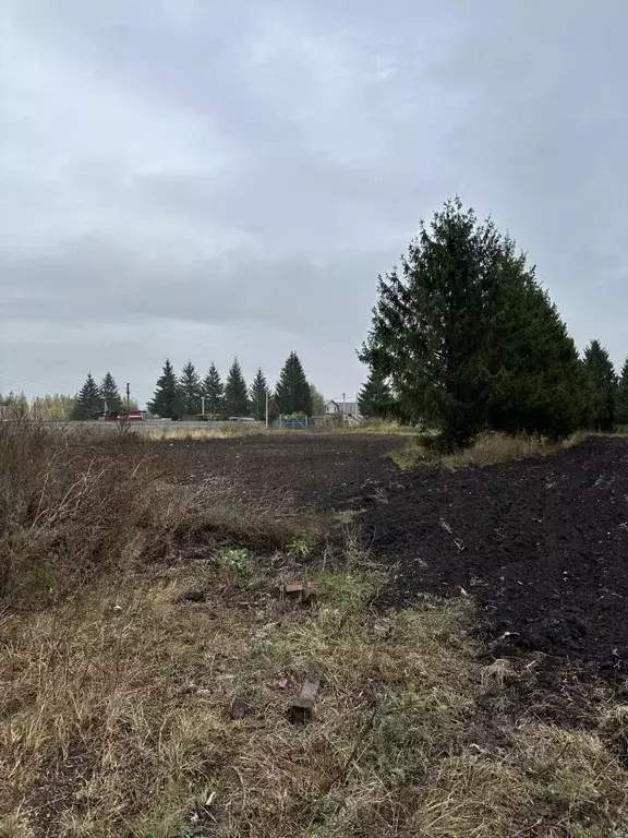 Участок в Орловская область, Мценск Спасский мкр,  (10.0 сот.) - Фото 2