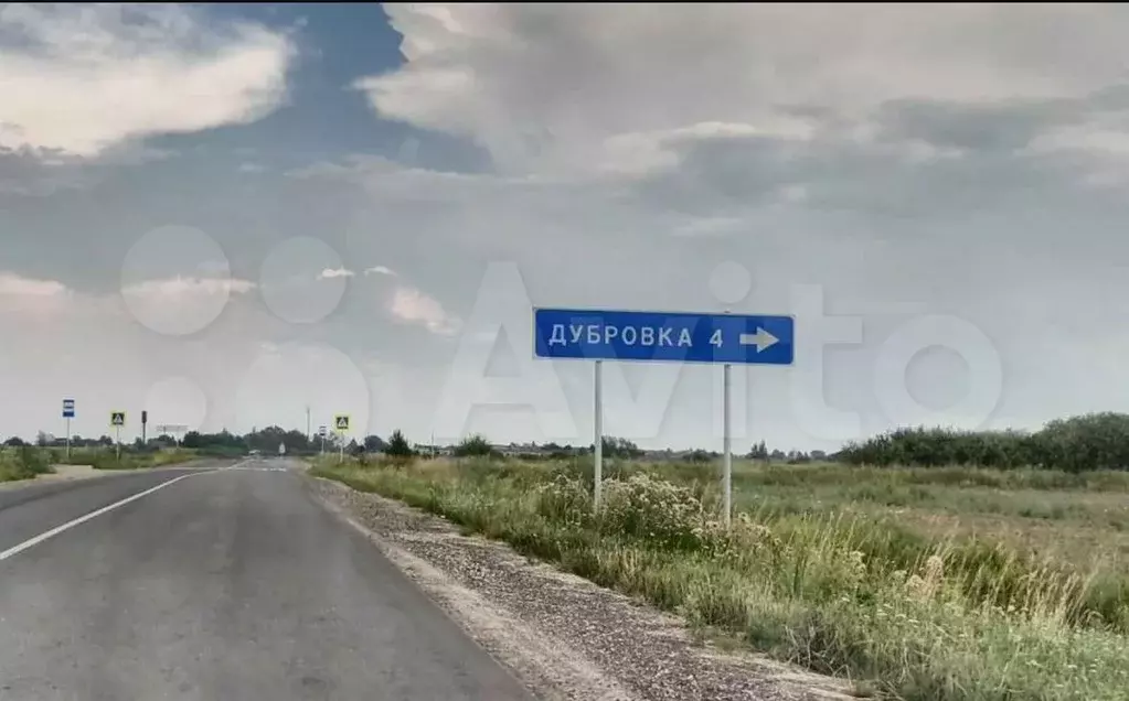 Участок в Новгородская область, Новгородский район, Борковское с/пос, ... - Фото 1