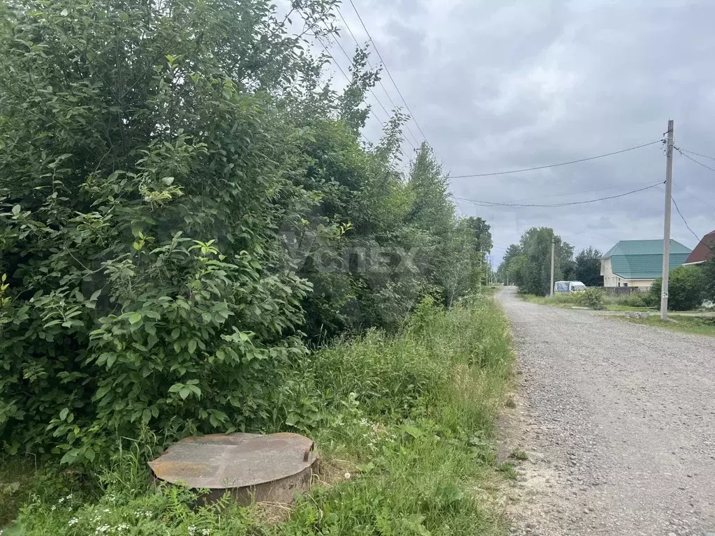 Участок 16,5 сот. (ИЖС) - Фото 1