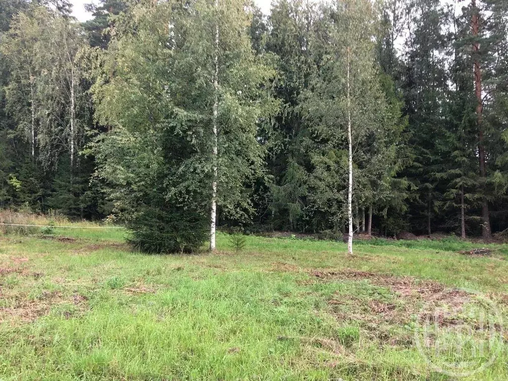 Участок, 9.5 сот., сельхоз (снт или днп) - Фото 1