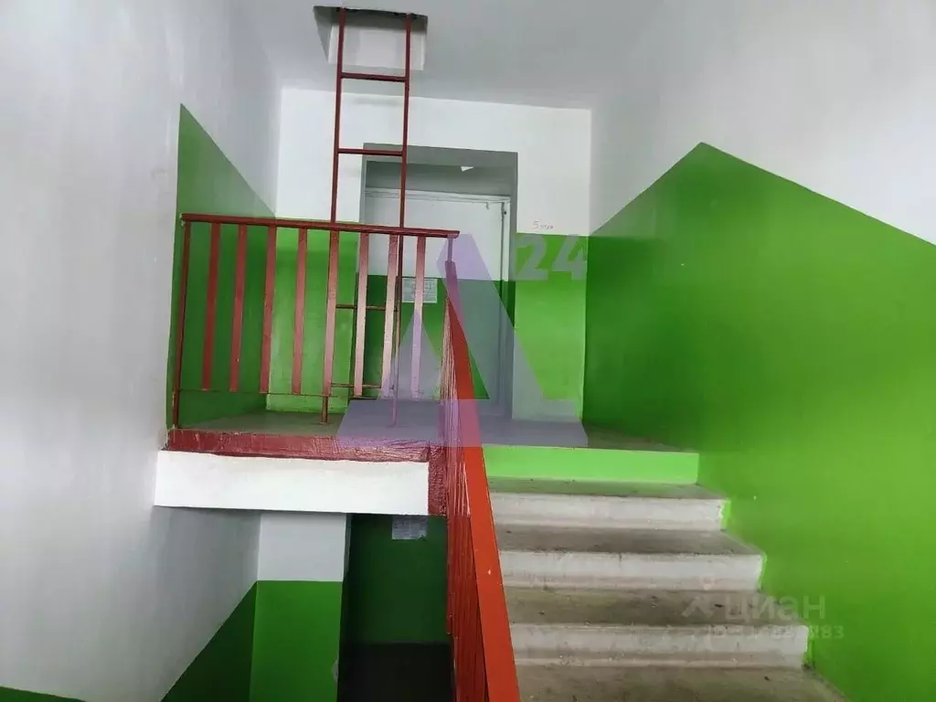 1-к кв. Алтайский край, Новоалтайск Прудская ул., 15Д (22.1 м) - Фото 2