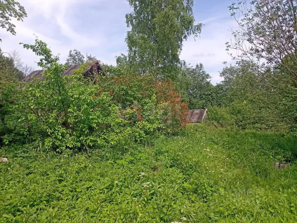 Участок в Санкт-Петербург Усть-Славянка тер., ул. Лесная (14.92 сот.) - Фото 1