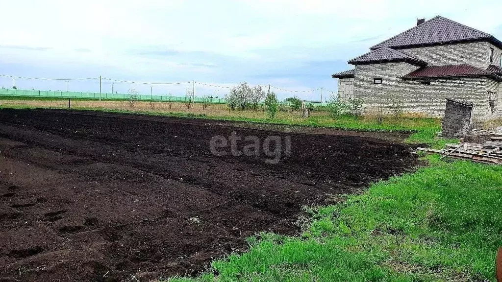 Александровка воронежская область новоусманский. Село Александровка Новоусманский район Воронежская область.