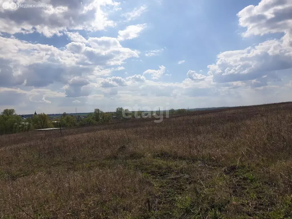 Участок в Лямбирский район, Пензятское сельское поселение, село ... - Фото 0