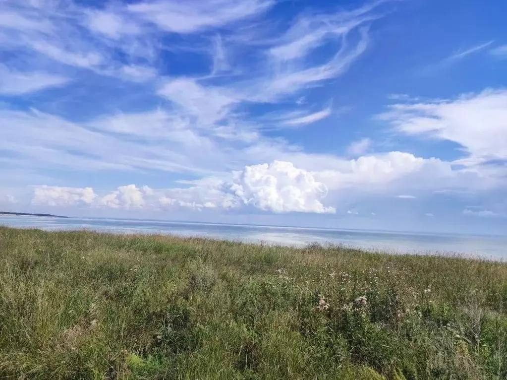 Участок в Новосибирская область, Новосибирский район, Морской ... - Фото 1