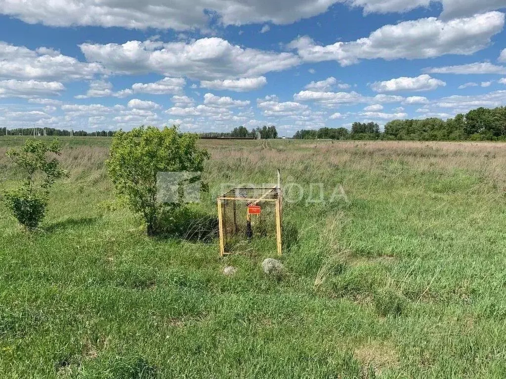 Участок в Новосибирская область, Новосибирский район, Морской ... - Фото 0