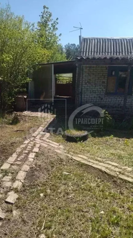 Дом в Воронежская область, Воронеж Лесовод-2 СНТ, ул. Сосновая (46 м) - Фото 2