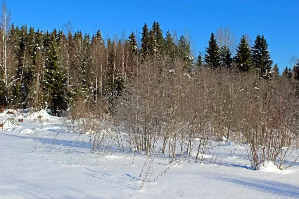 Участок в Карелия, Лахденпохья  (13.75 сот.) - Фото 1