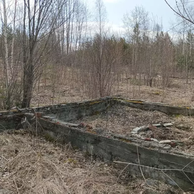Участок в Иркутская область, Усть-Илимск Парковая СНТ,  (12.0 сот.) - Фото 1