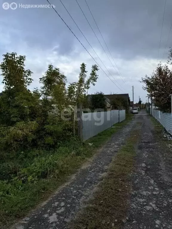 Участок в Калманский район, Зимарёвский сельсовет (2.5 м) - Фото 1