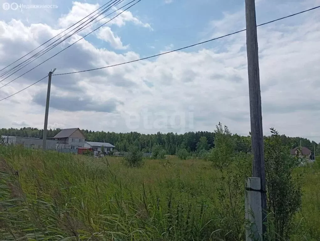 Участок в Курганская область, Кетовский муниципальный округ, ДНТ ... - Фото 1