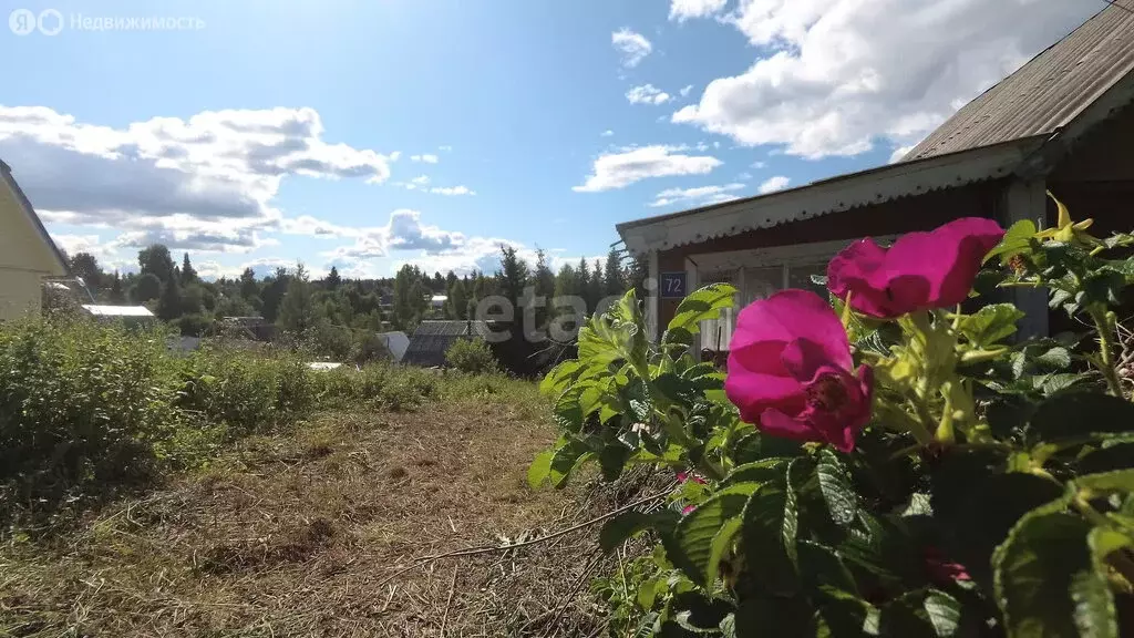 Дом в Сыктывкар, территория Дырносский, СНТ Ёлочка (34 м) - Фото 0