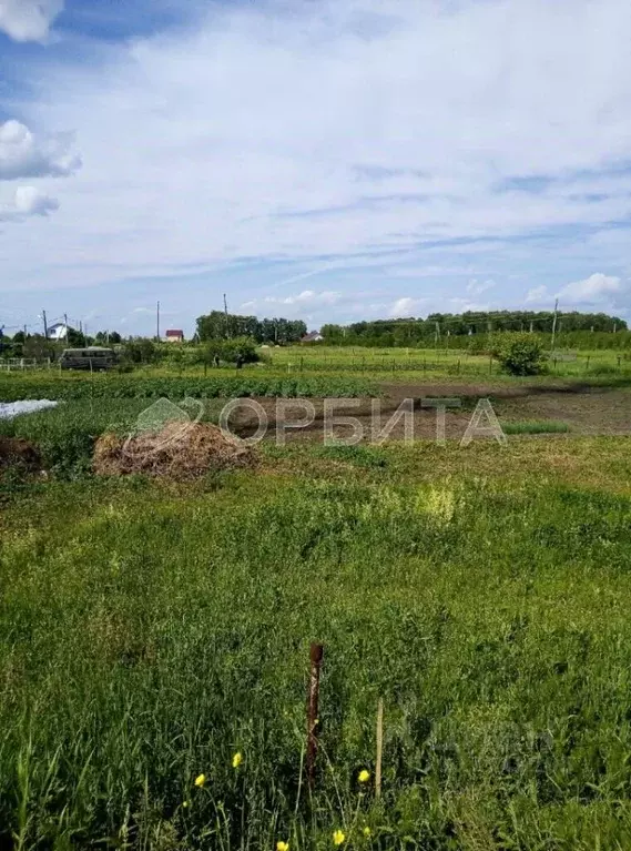 Участок в Тюменская область, Тюмень Казарово мкр, ул. Казаровская (6.0 ... - Фото 1