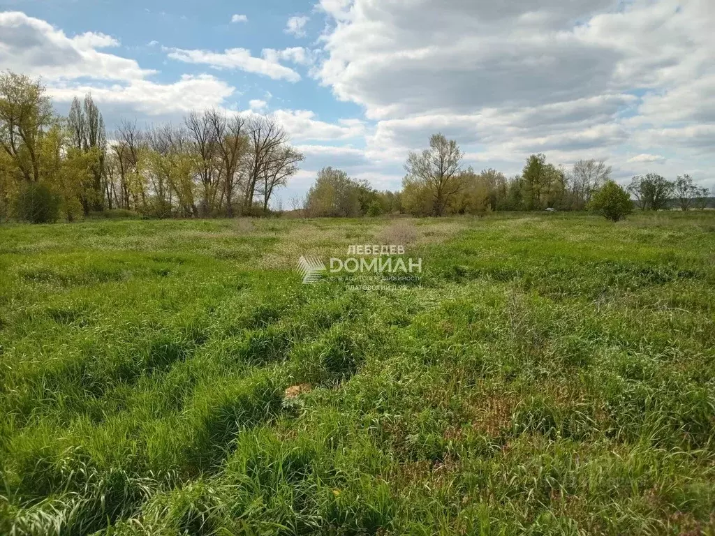 Участок в Ростовская область, Октябрьский район, Бессергеневское ... - Фото 2