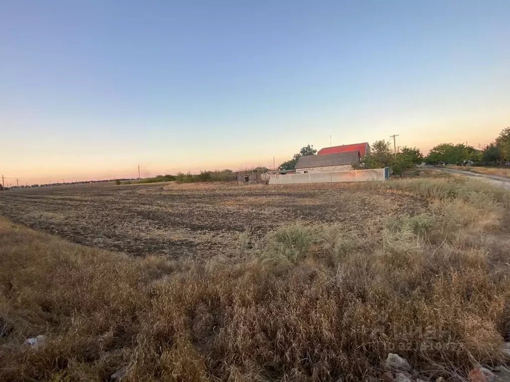 Участок в Ростовская область, Неклиновский район, Поляковское с/пос, ... - Фото 2