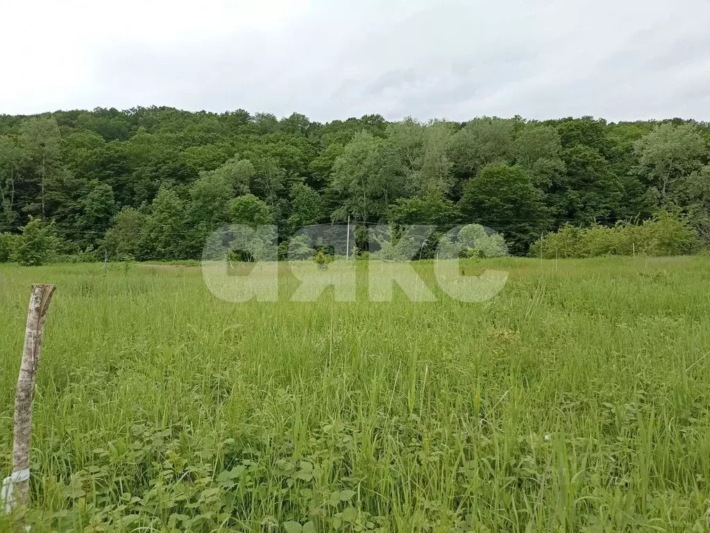 Участок в Краснодарский край, Горячий Ключ муниципальный округ, с. ... - Фото 1