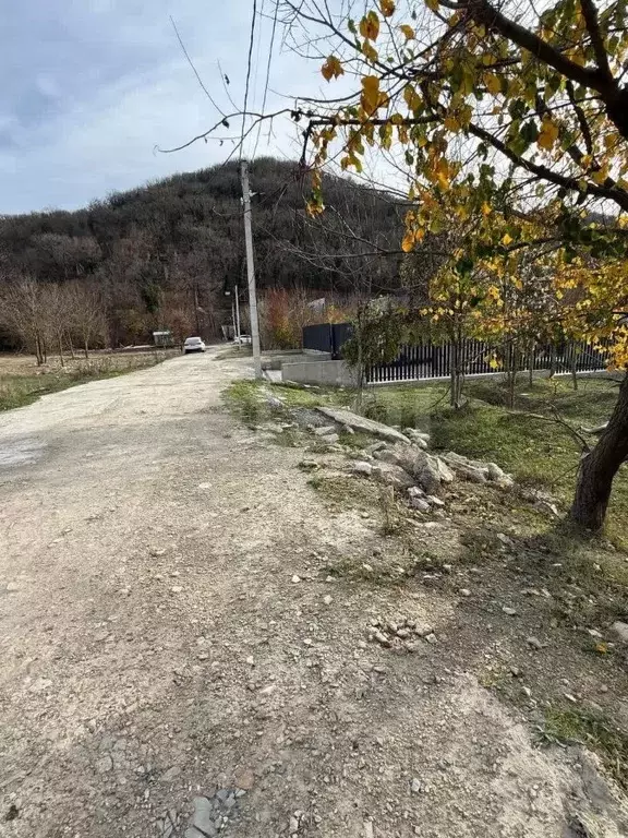 Участок в Краснодарский край, Новороссийск городской округ, Дюрсо СТ 3 ... - Фото 2