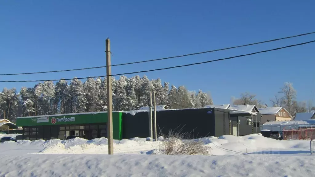 Участок в Московская область, Рузский муниципальный округ, д. ... - Фото 1