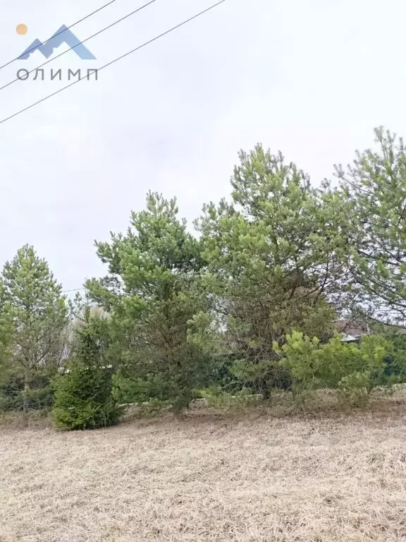 Участок в Вологодская область, д. Меники  (29.95 сот.) - Фото 1