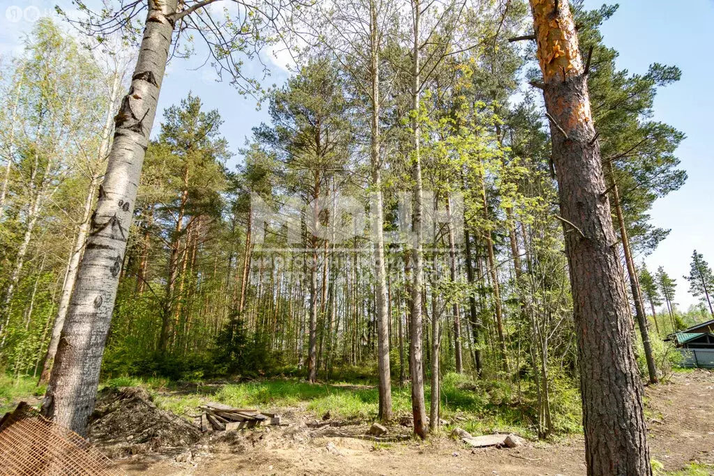 Участок в Петрозаводск, район Сулажгорский Кирпичный Завод, микрорайон ... - Фото 0
