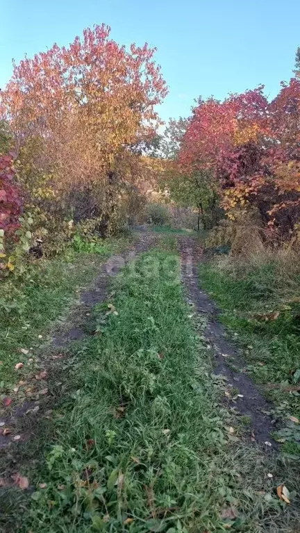 Участок в Амурская область, Благовещенск Завода Амурский Металлист СТ, ... - Фото 1