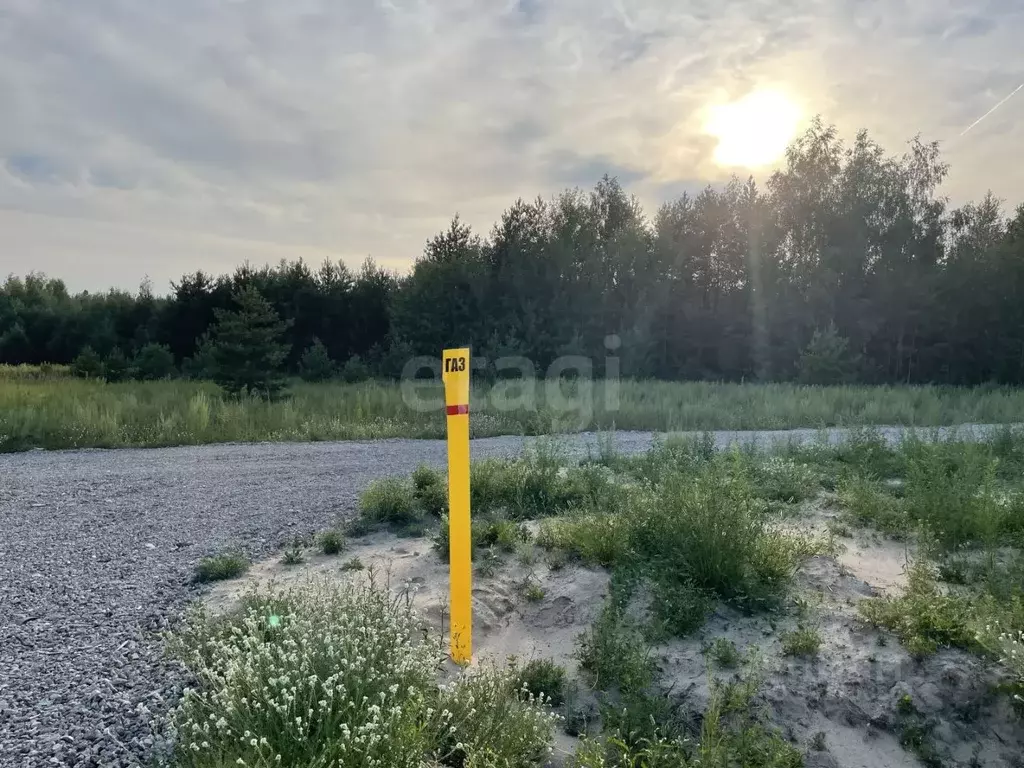 Участок в Татарстан, Казань Лесные Холмы жилмассив,  (10.0 сот.) - Фото 1