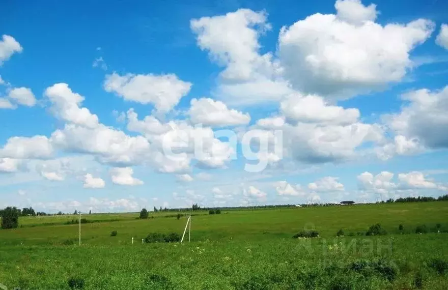 Участок в Тульская область, Тула муниципальное образование, д. Ширино, ... - Фото 1