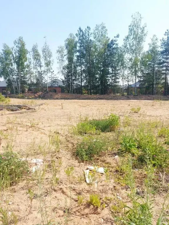 Участок в Московская область, Щелково городской округ, Орловские ... - Фото 1