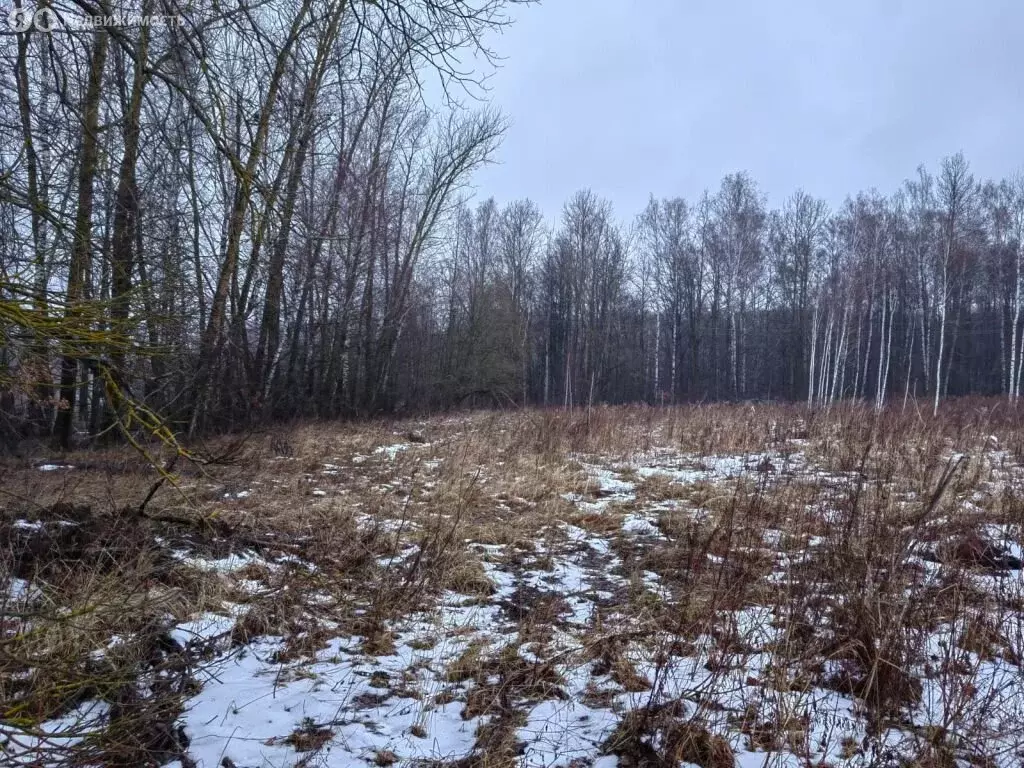 Участок в Тульская область, городской округ Тула, деревня Фёдоровка ... - Фото 1