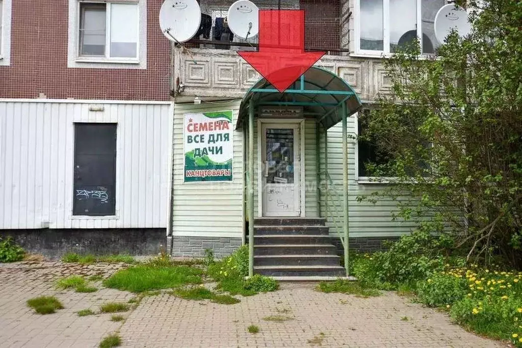 Помещение свободного назначения в Новгородская область, Великий ... - Фото 1