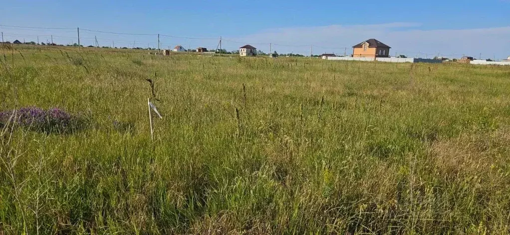 Участок в Краснодарский край, Темрюкский район, Новотаманское с/пос, ... - Фото 1