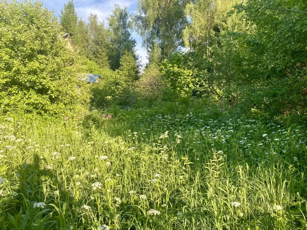 Участок в Владимирская область, Александровский район, ... - Фото 1