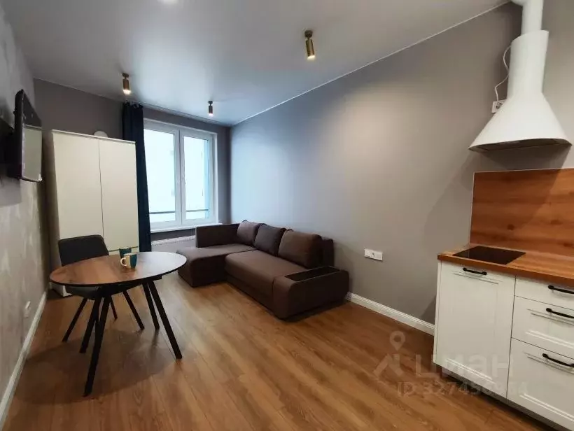 Студия Санкт-Петербург наб. Миклухо-Маклая, 3к1 (24.3 м) - Фото 2