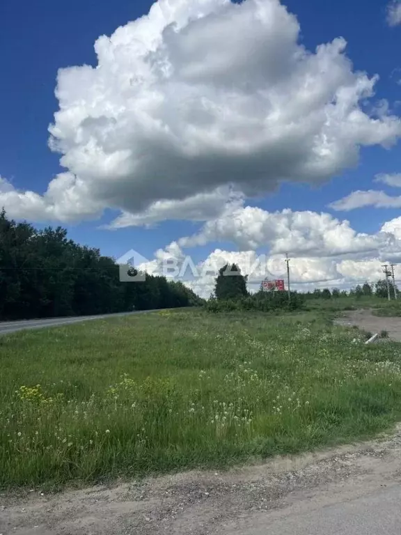 Участок в Владимирская область, Суздальский район, Боголюбовское ... - Фото 0