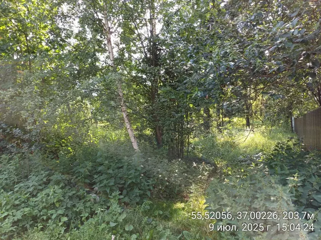 Участок в Московская область, Наро-Фоминский городской округ, д. ... - Фото 0