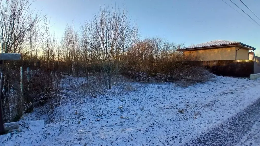 Участок в Ленинградская область, Всеволожский район, Лесколовское ... - Фото 2