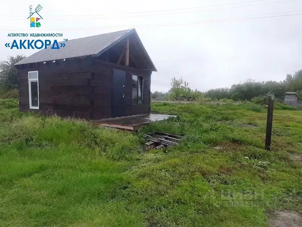 Участок в Алтайский край, Барнаул городской округ, пос. Новомихайловка ... - Фото 2