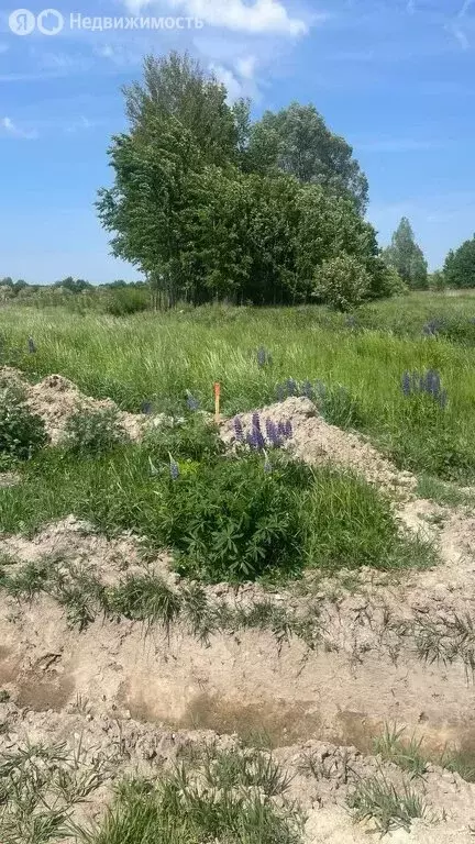 Участок в Калининградская область, Гурьевск (9.54 м) - Фото 0