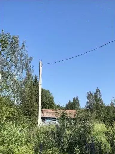 Участок в Новгородская область, Новгородский район, Ермолинское с/пос, ... - Фото 0