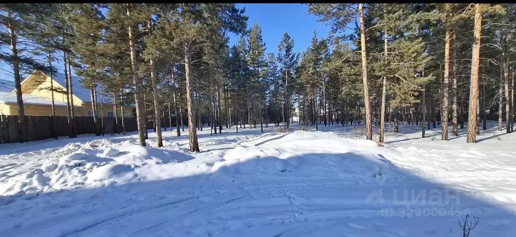 Участок в Бурятия, Улан-Удэ Тепличный мкр, 36-й кв-л,  (8.19 сот.) - Фото 2