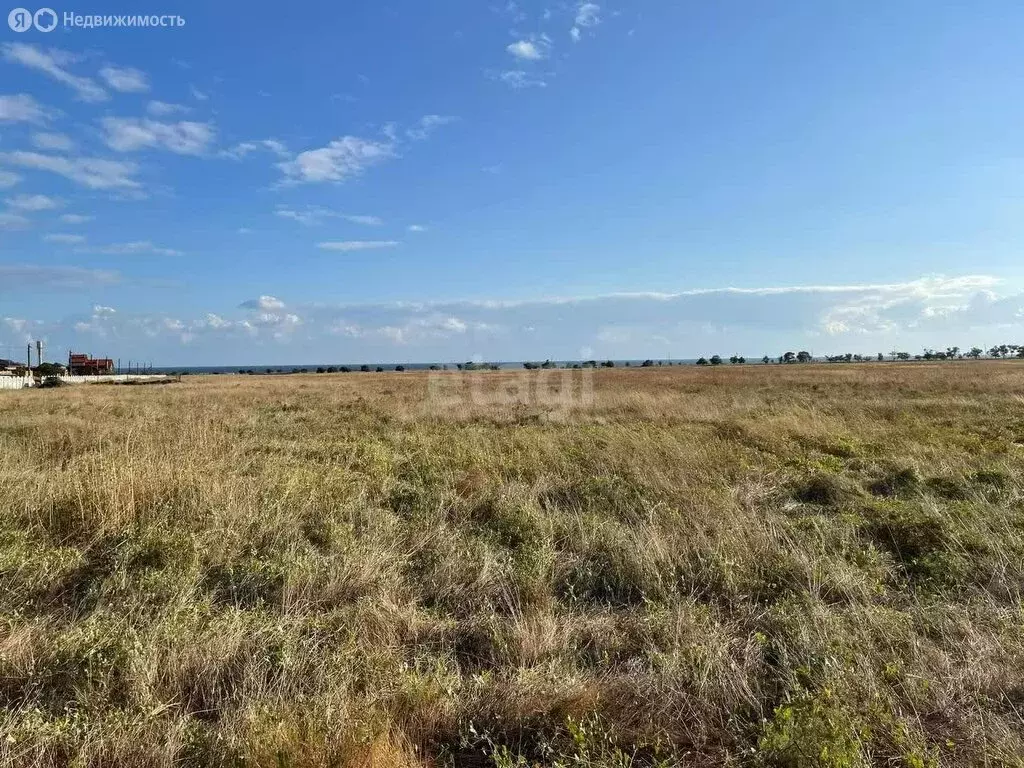 Участок в село Оленевка, Очеретайская улица (8.1 м) - Фото 1