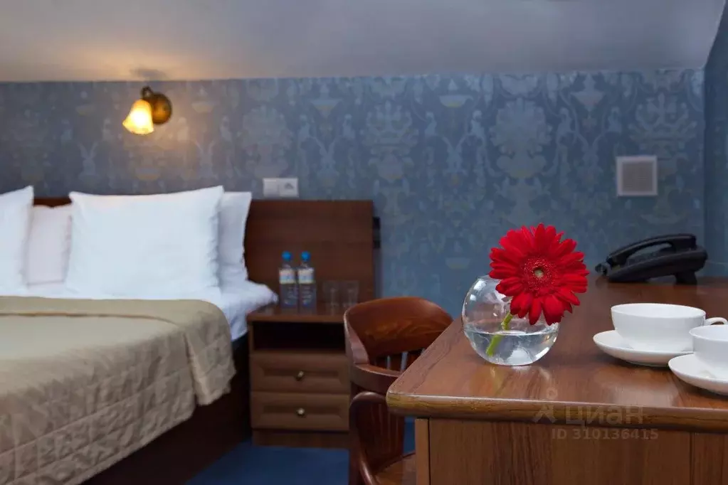 Комната Санкт-Петербург наб. Реки Мойки, 5 (17.0 м) - Фото 0