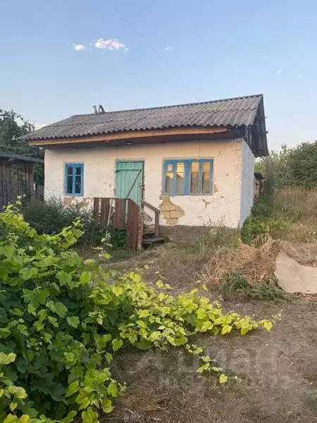 Участок в Краснодарский край, Анапа муниципальный округ, с. Гай-Кодзор ... - Фото 1