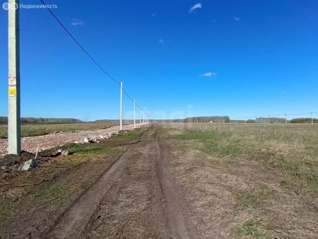 Участок в Горьковка, Парковая улица (7.33 м) - Фото 2