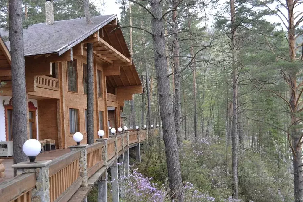 Дом в Алтай, Майминский район Р-256 Чуйский тракт, 476-й км (400 м) - Фото 2