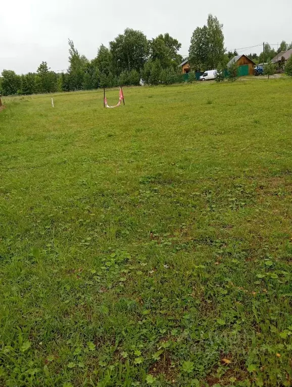 Участок в Вологодская область, пос. Кипелово  (15.0 сот.) - Фото 2