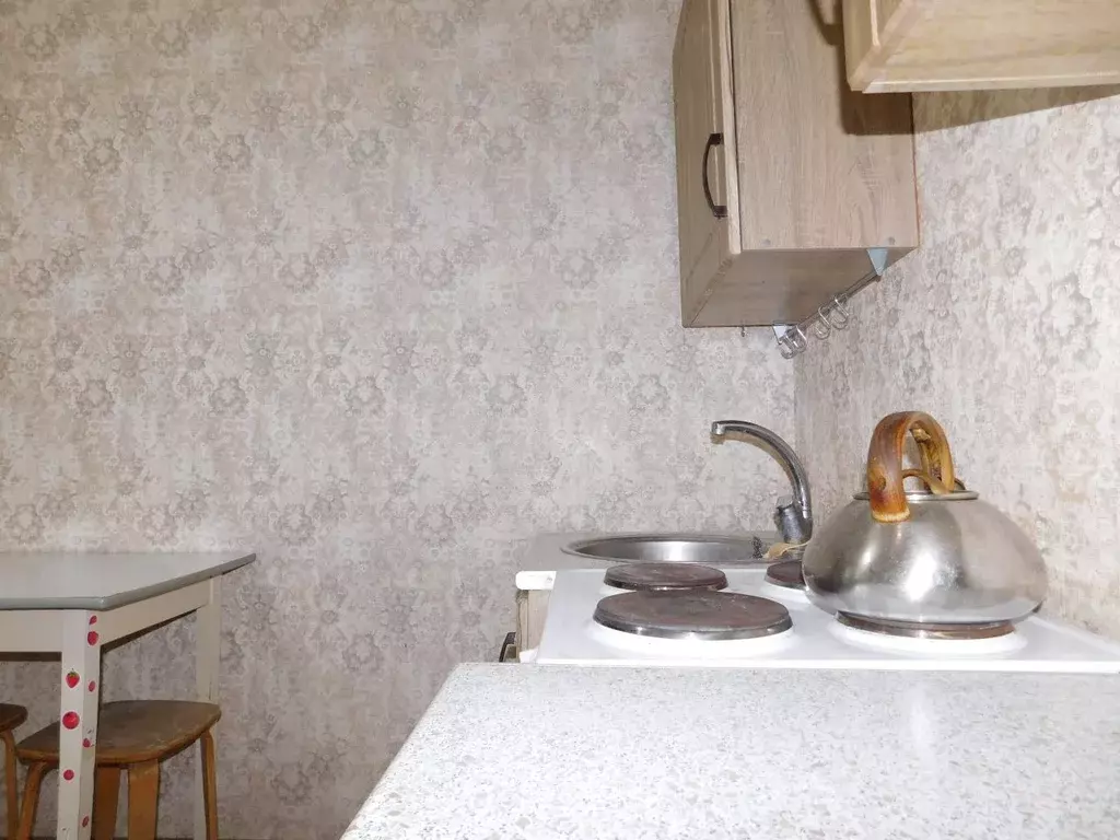 2-к кв. Алтайский край, Барнаул Молодежная ул., 136 (26.4 м) - Фото 1