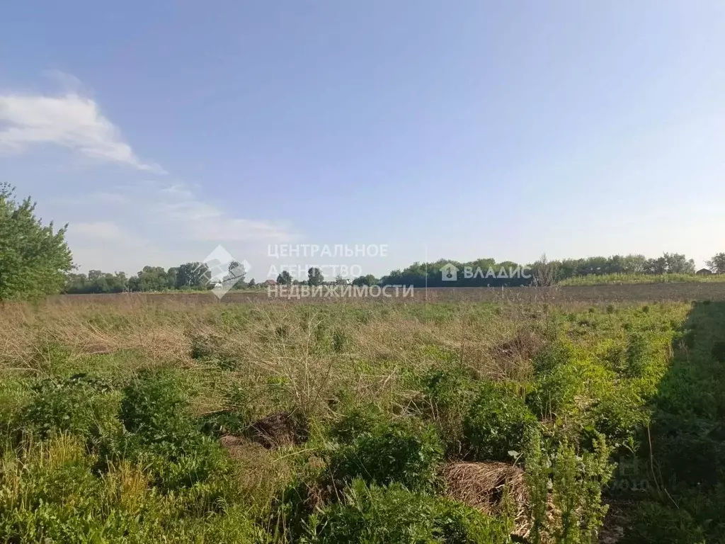 Участок в Рязанская область, Рыбновский район, Ходынинское с/пос, с. ... - Фото 1