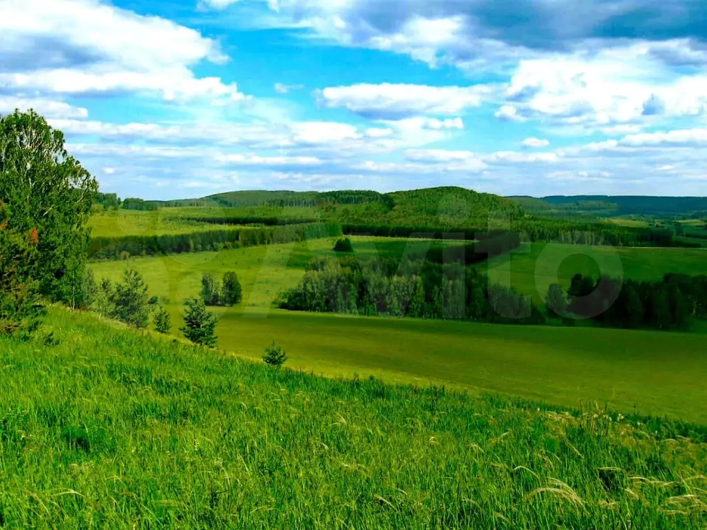 Участок 10 га (СНТ, ДНП) - Фото 1